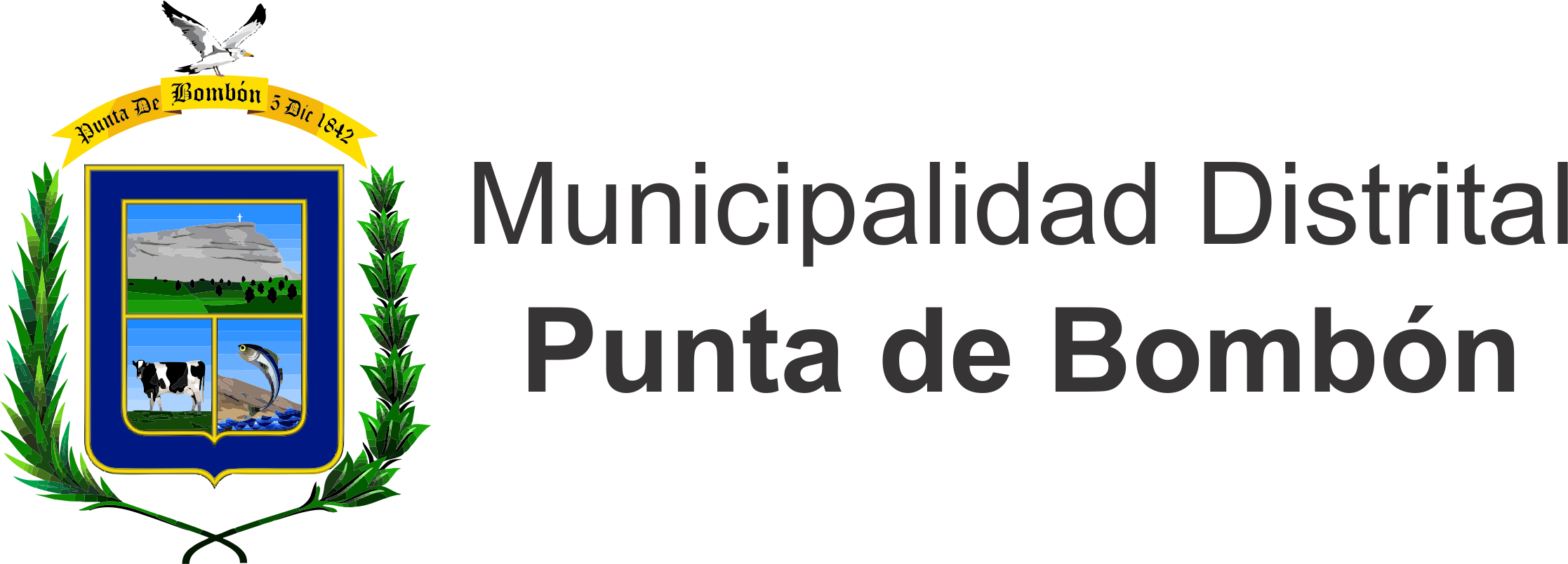 Municipalidad Distrital de Punta de Bombón